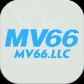 @mv66llc