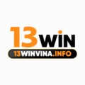 @13winvinainfo