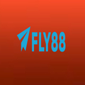 @fly88legal