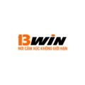 @13wincocom2025