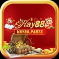 @hay88parts