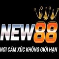 @New88aeorg