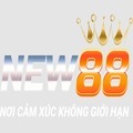 @New88city