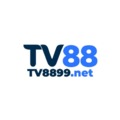 @Tv8899net