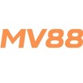 @mv88dsj