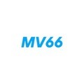 @mv66ltd