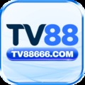 @tv88666com