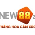 @new88zio1