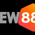 @New88online