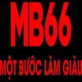 @mb66com1
