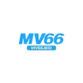 @mv66bid