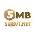 @5mbv1net