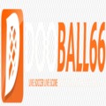 @dooball66