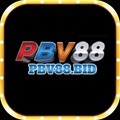 @Pbv88bid1vn