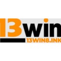 @13win8ink