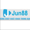 @jun88usorgvn1