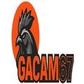 @gacam67ringger