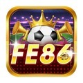 @fe86org