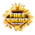 @freecreditslottruecom