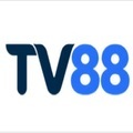 @tv88mx