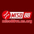 @miso88vnusorg