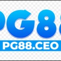 @Pg88ceo