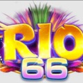 @Rio66xncom