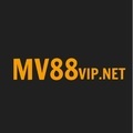 @mv88vipnet