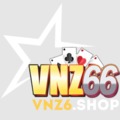 @Vnz6shop