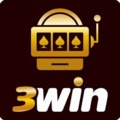 @3winvncom