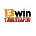 @13wintdpro