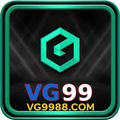 @vg9988com