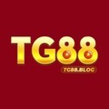 @tg88blog