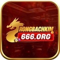 @rongbachkin666org