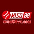 @miso88vnasia
