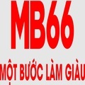 @mb66betuscom