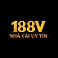 @188vnnet