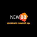 @new8885com