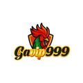 @gavip9999com