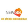 @new88hotcom