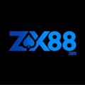 @zx888org