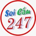 @soicau247net