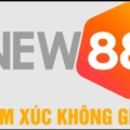 @new8838net