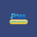 @pu88solutions