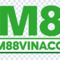 @cm88vinacom