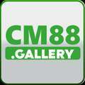 @cm88gallery