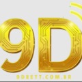 @9dbettcombr