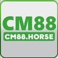 @cm88horse