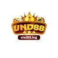 @vnd88ing