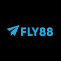 @fly888innet
